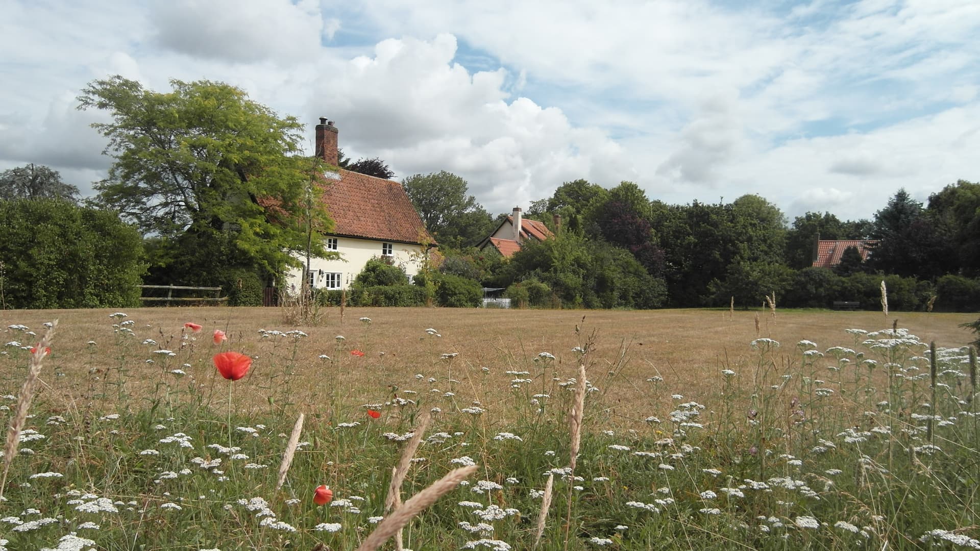 wildlife garden